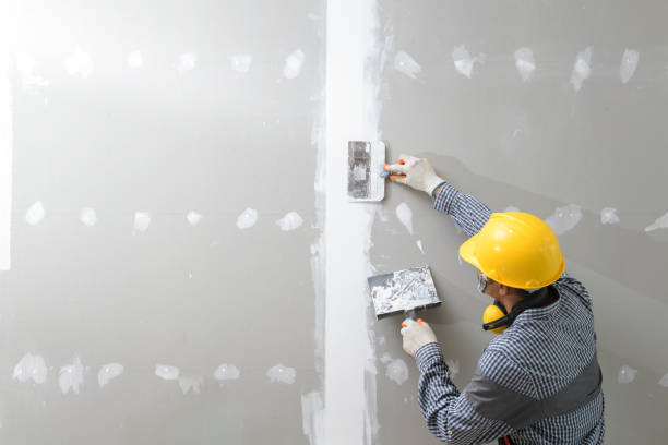 Lake Secession, SC Mold Removal Company