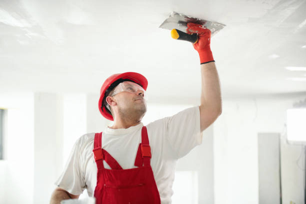 Best Post-Remediation Verification Testing  in Lake Secession, SC
